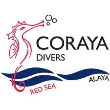 Coraya Divers Alaya Diving Center